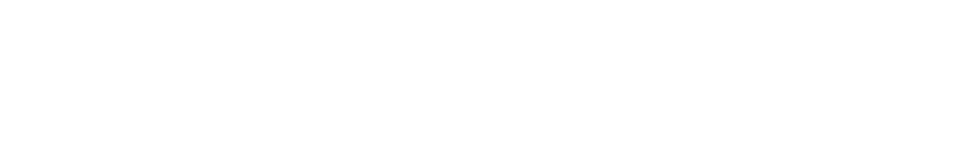 Experience wordmark in white