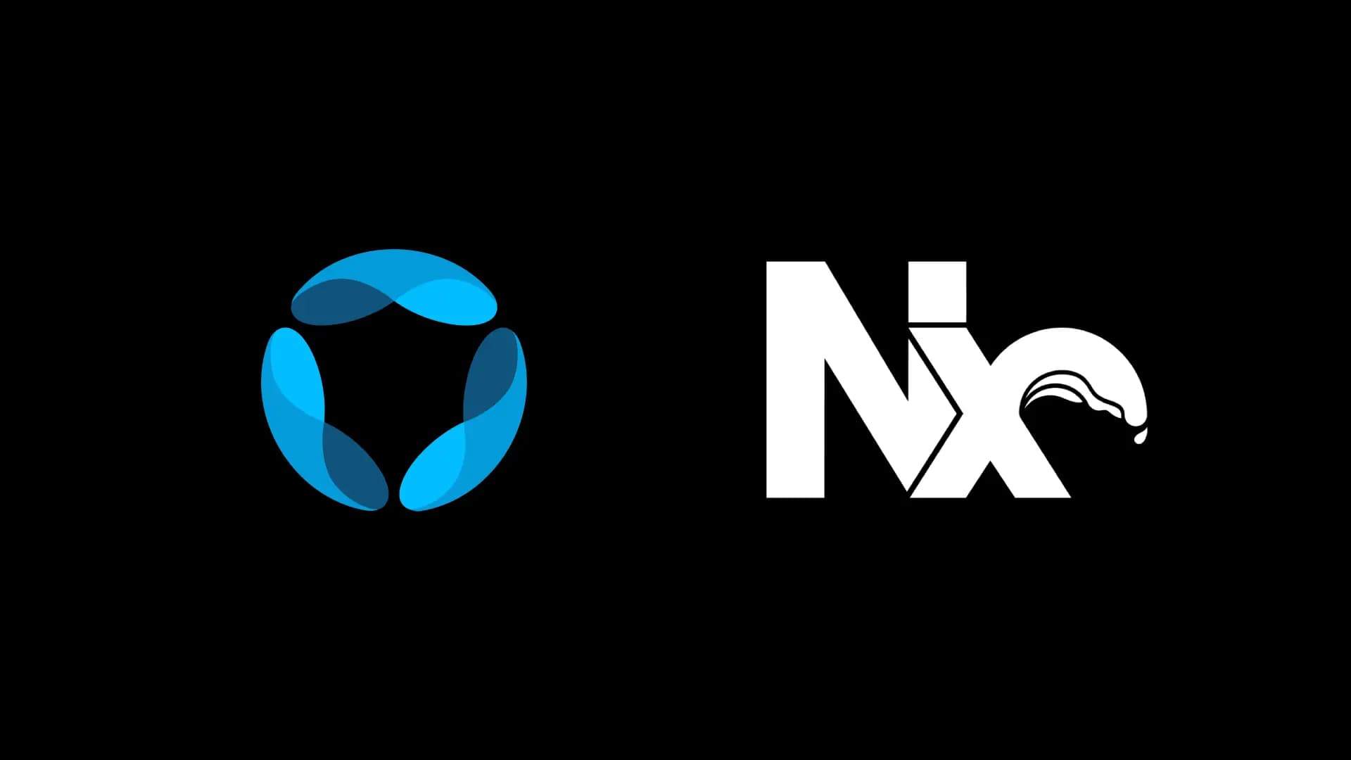 How We Migrated to a Monorepo using NX